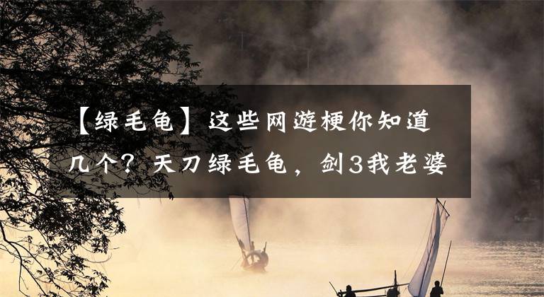 【绿毛龟】这些网游梗你知道几个？天刀绿毛龟，剑3我老婆要生了，逆水寒？