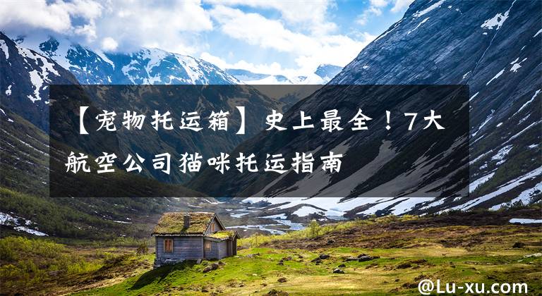 【宠物托运箱】史上最全！7大航空公司猫咪托运指南