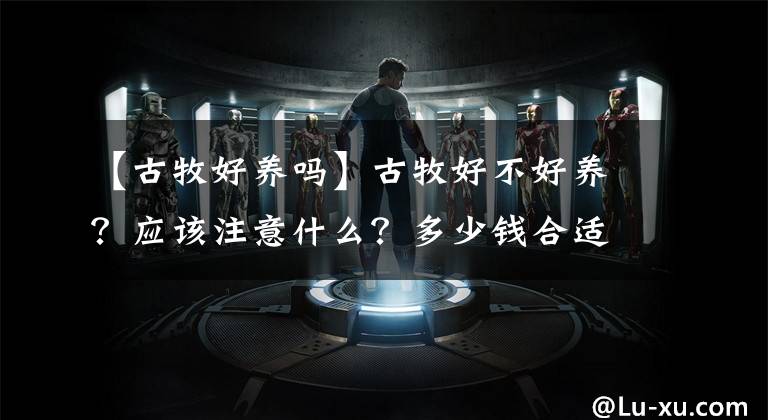【古牧好养吗】古牧好不好养？应该注意什么？多少钱合适入手？