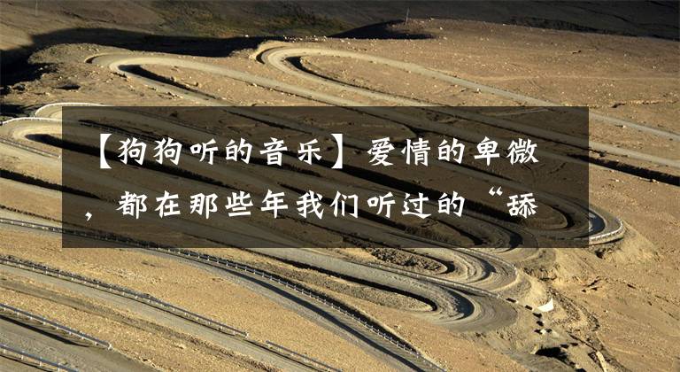 【狗狗听的音乐】爱情的卑微，都在那些年我们听过的“舔狗情歌”里