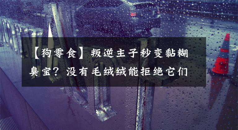 【狗零食】叛逆主子秒变黏糊臭宝？没有毛绒绒能拒绝它们！宠物零食众测盘点