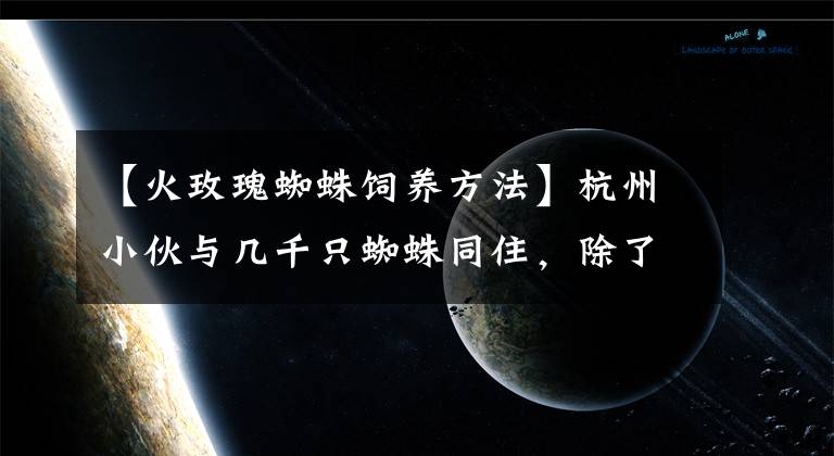 【火玫瑰蜘蛛饲养方法】杭州小伙与几千只蜘蛛同住，除了床上到处爬满！邻居受不了报警，一开门头皮发麻...