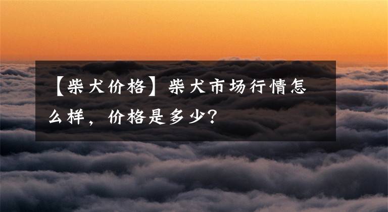 【柴犬价格】柴犬市场行情怎么样，价格是多少？