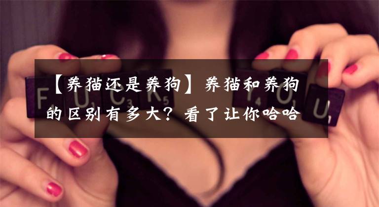 【养猫还是养狗】养猫和养狗的区别有多大？看了让你哈哈哈哈哈哈哈