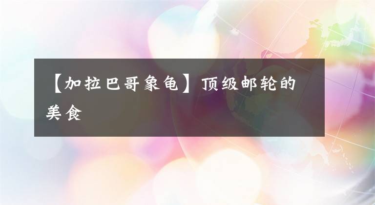 【加拉巴哥象龟】顶级邮轮的美食