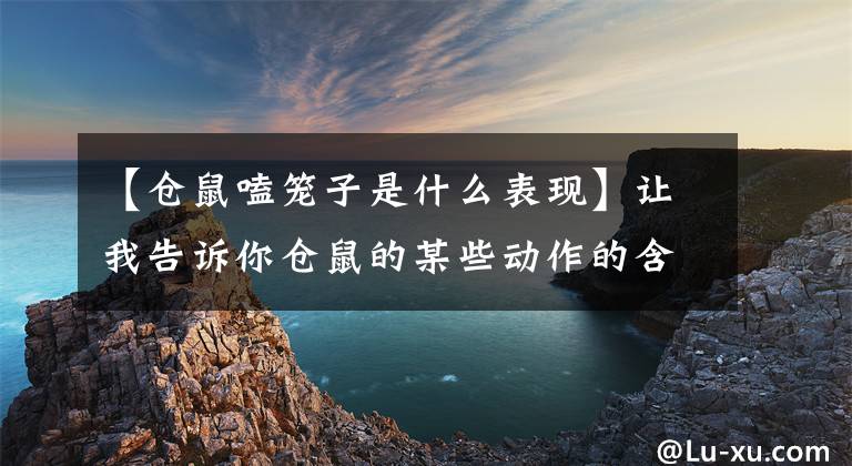 【仓鼠嗑笼子是什么表现】让我告诉你仓鼠的某些动作的含义的详细说明。