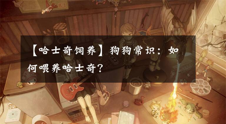 【哈士奇饲养】狗狗常识：如何喂养哈士奇？