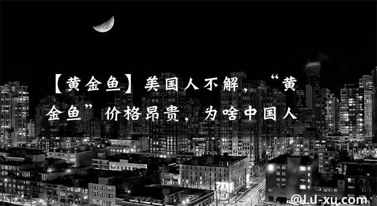 【黄金鱼】美国人不解，“黄金鱼”价格昂贵，为啥中国人能天天吃？