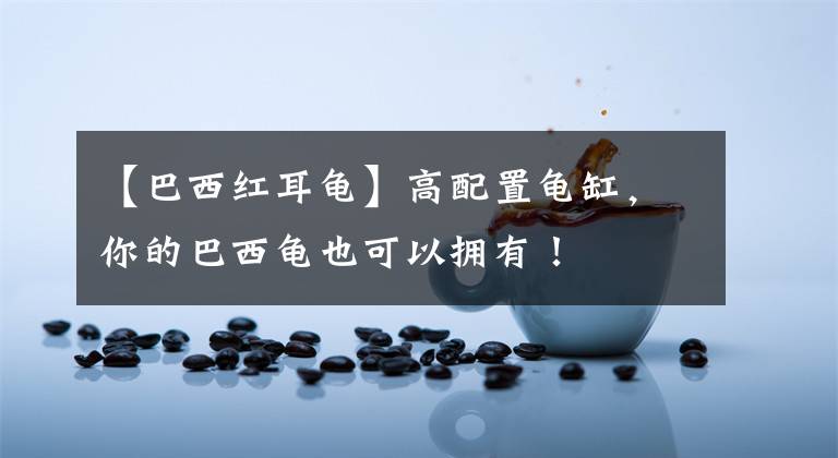 【巴西红耳龟】高配置龟缸，你的巴西龟也可以拥有！