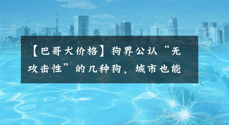 【巴哥犬价格】狗界公认“无攻击性”的几种狗，城市也能放心养