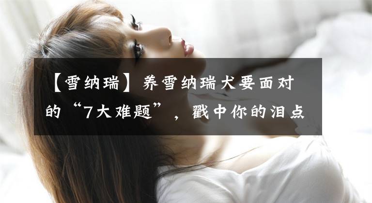 【雪纳瑞】养雪纳瑞犬要面对的“7大难题”，戳中你的泪点了吗？