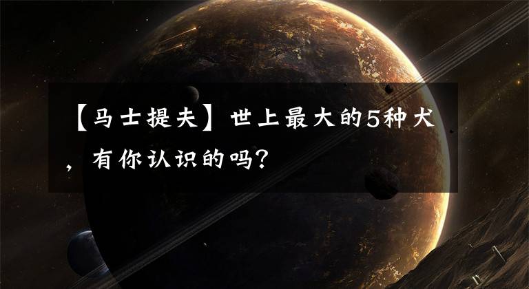 【马士提夫】世上最大的5种犬，有你认识的吗？
