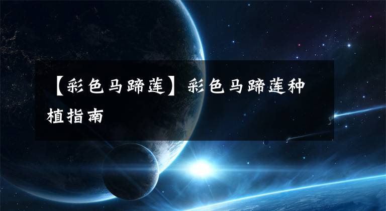 【彩色马蹄莲】彩色马蹄莲种植指南