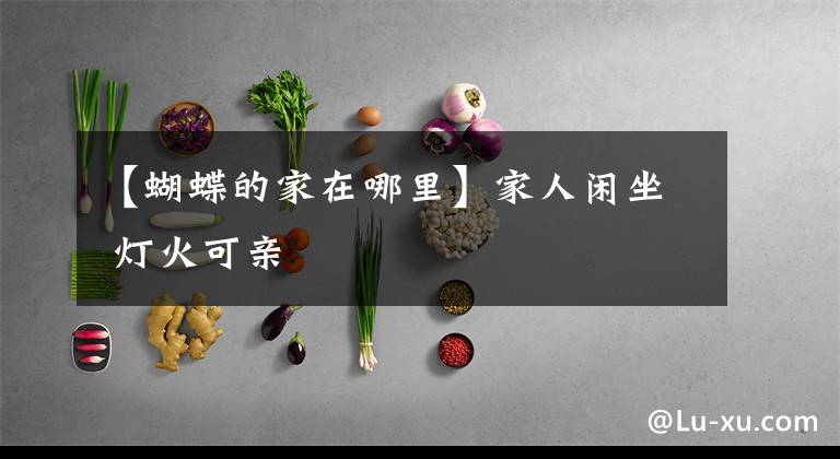 【蝴蝶的家在哪里】家人闲坐 灯火可亲