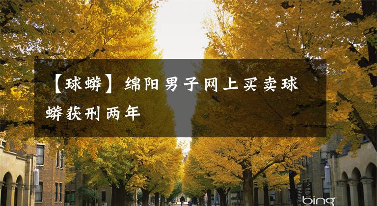 【球蟒】绵阳男子网上买卖球蟒获刑两年