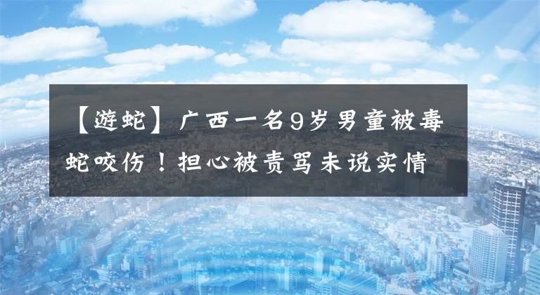 【游蛇】广西一名9岁男童被毒蛇咬伤！担心被责骂未说实情，差点耽误治疗