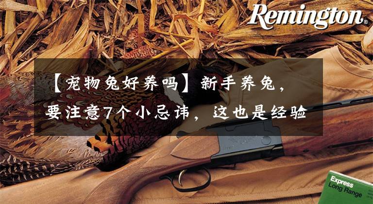 【宠物兔好养吗】新手养兔，要注意7个小忌讳，这也是经验老道的老农偷偷告诉我的