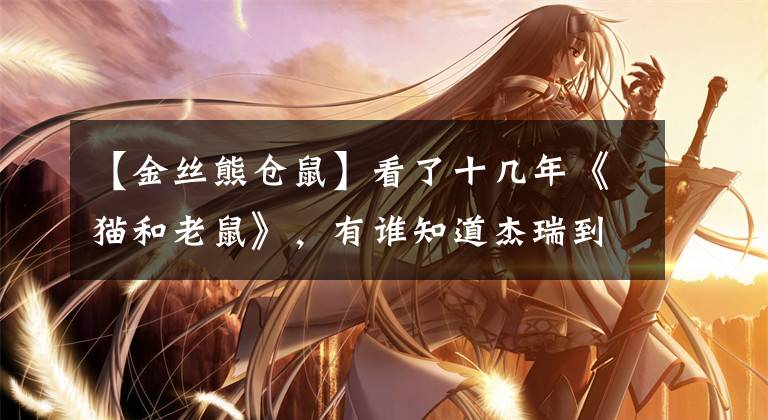 【金丝熊仓鼠】看了十几年《猫和老鼠》，有谁知道杰瑞到底是老鼠还是仓鼠？