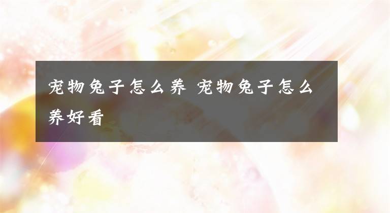宠物兔子怎么养 宠物兔子怎么养好看