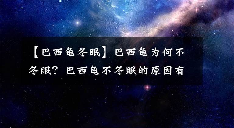 【巴西龟冬眠】巴西龟为何不冬眠？巴西龟不冬眠的原因有那些？