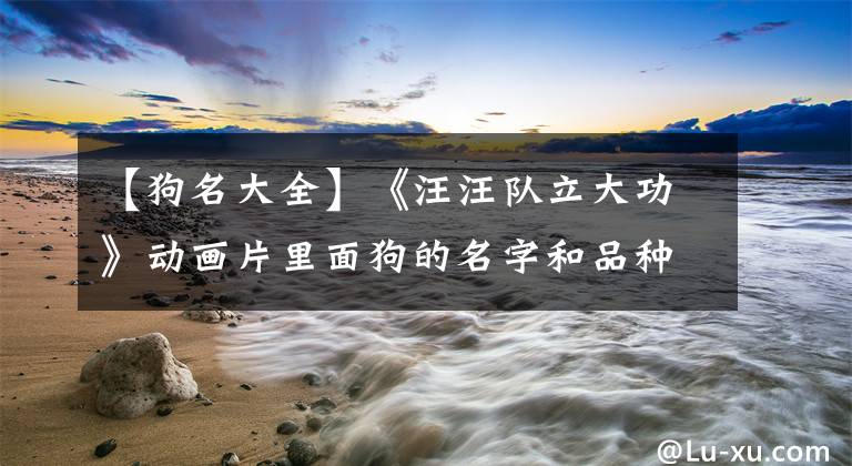 【狗名大全】《汪汪队立大功》动画片里面狗的名字和品种
