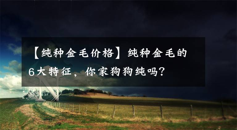 【纯种金毛价格】纯种金毛的6大特征，你家狗狗纯吗？