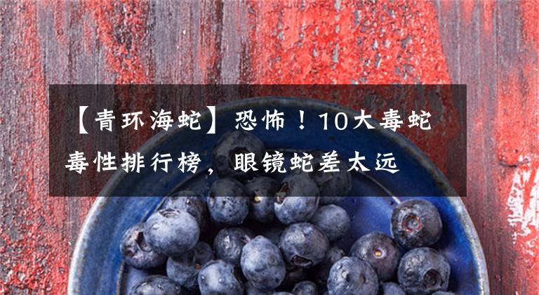 【青环海蛇】恐怖！10大毒蛇毒性排行榜，眼镜蛇差太远