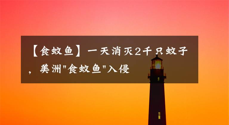 【食蚊鱼】一天消灭2千只蚊子，美洲"食蚊鱼"入侵中国，到底是好是坏？