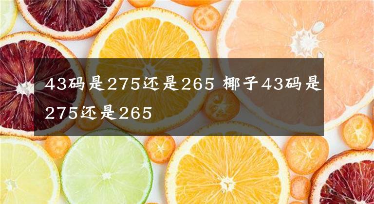 43码是275还是265 椰子43码是275还是265