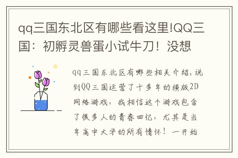 qq三国东北区有哪些看这里!QQ三国：初孵灵兽蛋小试牛刀！没想到蹦了个地品出来