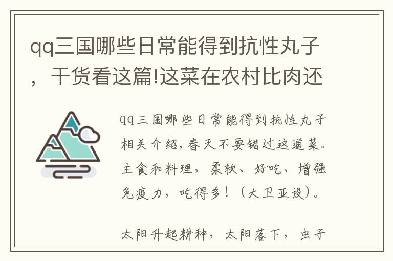 qq三国哪些日常能得到抗性丸子，干货看这篇!这菜在农村比肉还受欢迎，低脂肪，饱腹感极强，还能提高免疫力
