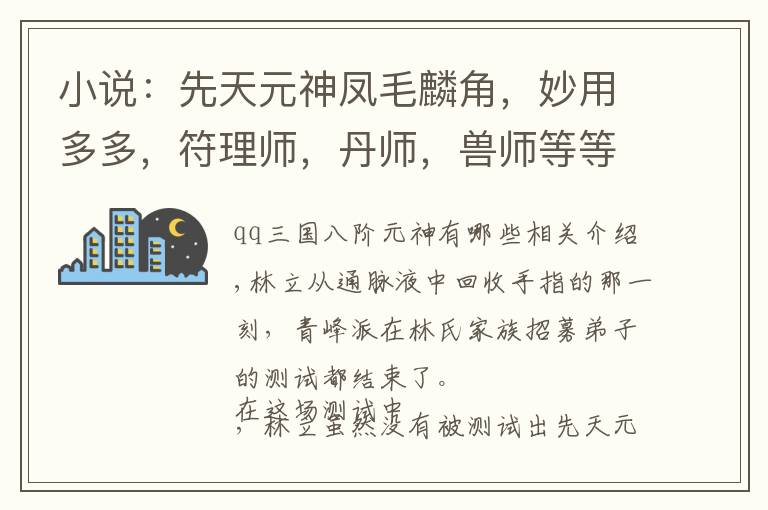 小说：先天元神凤毛麟角，妙用多多，符理师，丹师，兽师等等