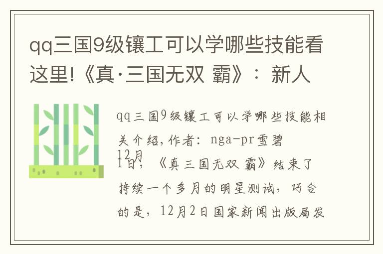 qq三国9级镶工可以学哪些技能看这里!《真·三国无双 霸》：新人迅速上手指南