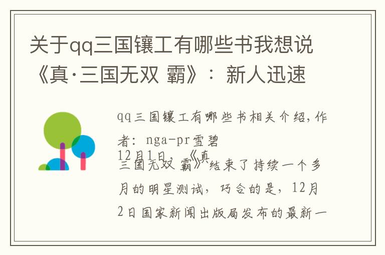 关于qq三国镶工有哪些书我想说《真·三国无双 霸》：新人迅速上手指南