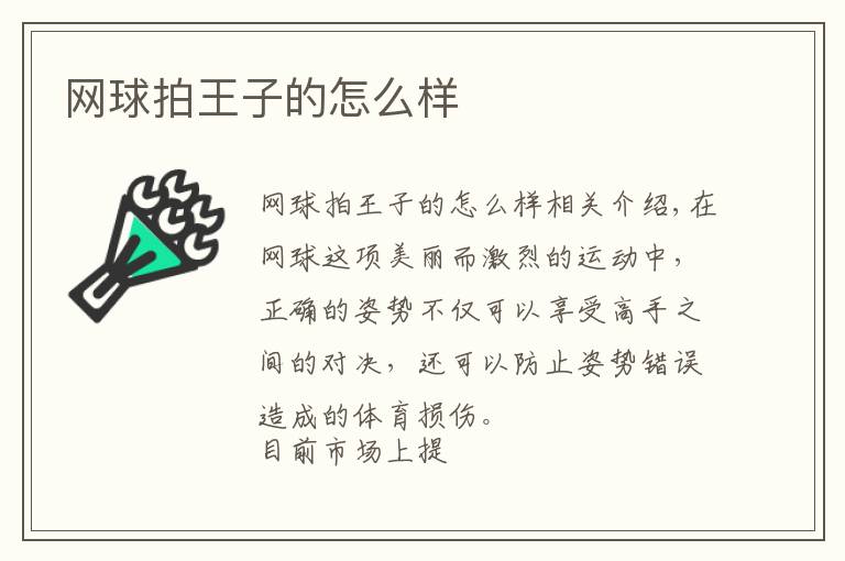 网球拍王子的怎么样