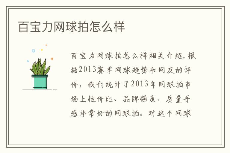 百宝力网球拍怎么样