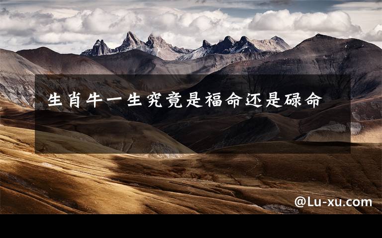 生肖牛一生究竟是福命还是碌命