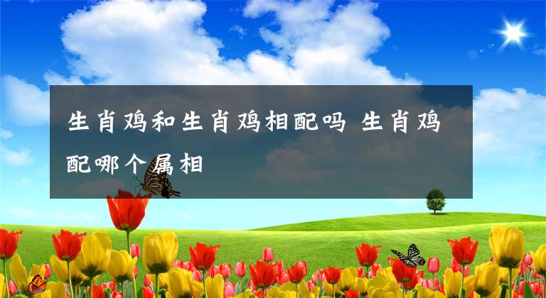 生肖鸡和生肖鸡相配吗 生肖鸡配哪个属相