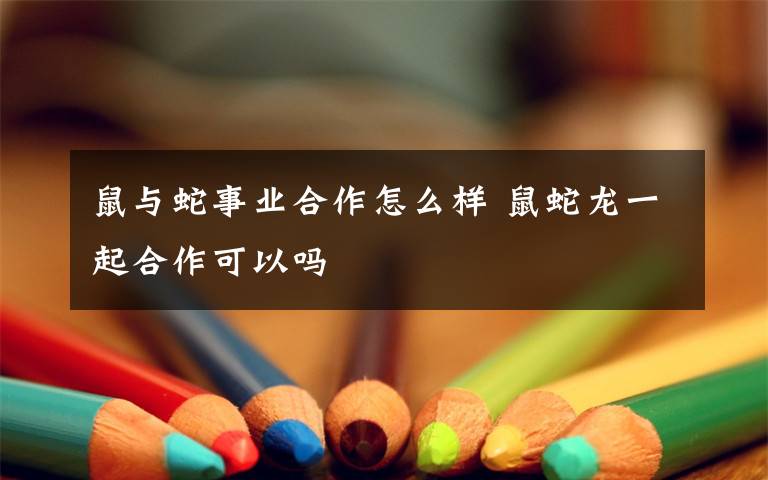 鼠与蛇事业合作怎么样 鼠蛇龙一起合作可以吗