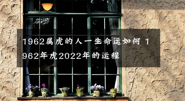 1962属虎的人一生命运如何 1962年虎2022年的运程