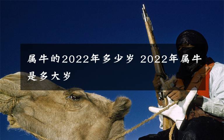 属牛的2022年多少岁 2022年属牛是多大岁