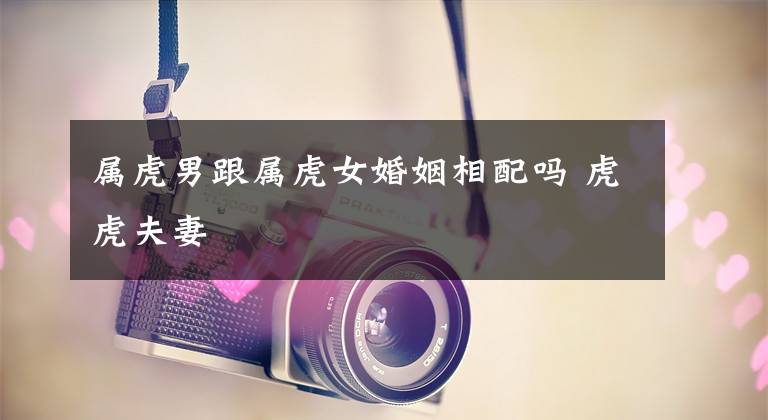 属虎男跟属虎女婚姻相配吗 虎虎夫妻