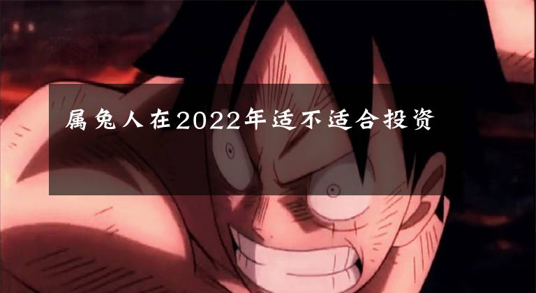 属兔人在2022年适不适合投资