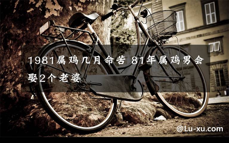 1981属鸡几月命苦 81年属鸡男会娶2个老婆