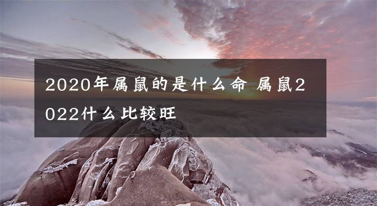 2020年属鼠的是什么命 属鼠2022什么比较旺