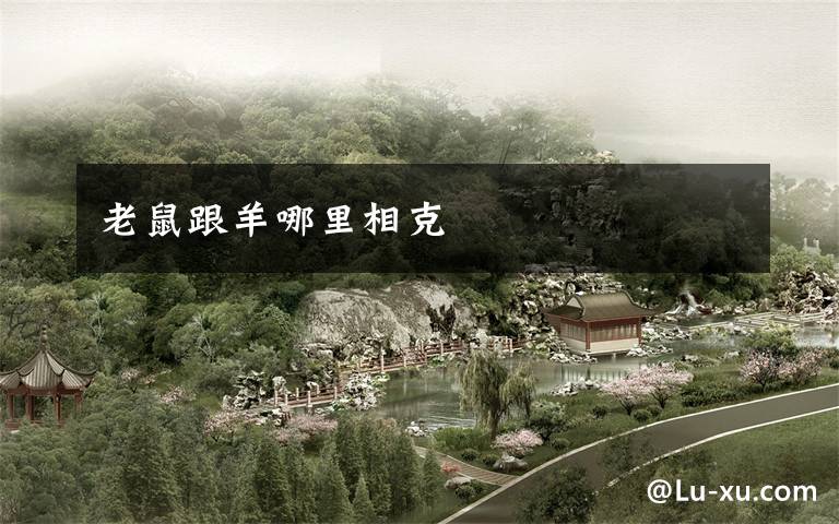 老鼠跟羊哪里相克