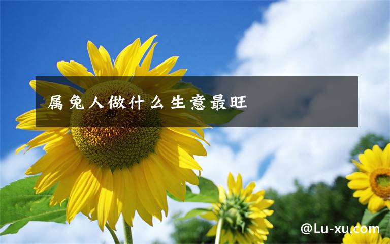 属兔人做什么生意最旺