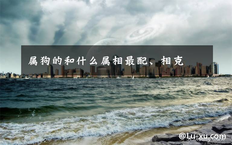 属狗的和什么属相最配、相克