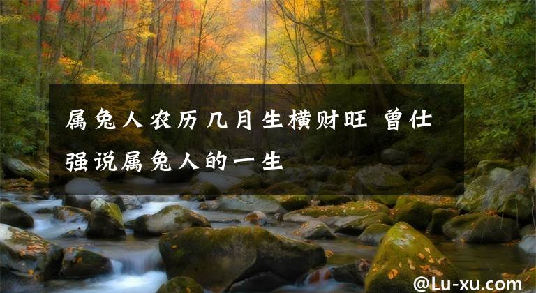 属兔人农历几月生横财旺 曾仕强说属兔人的一生