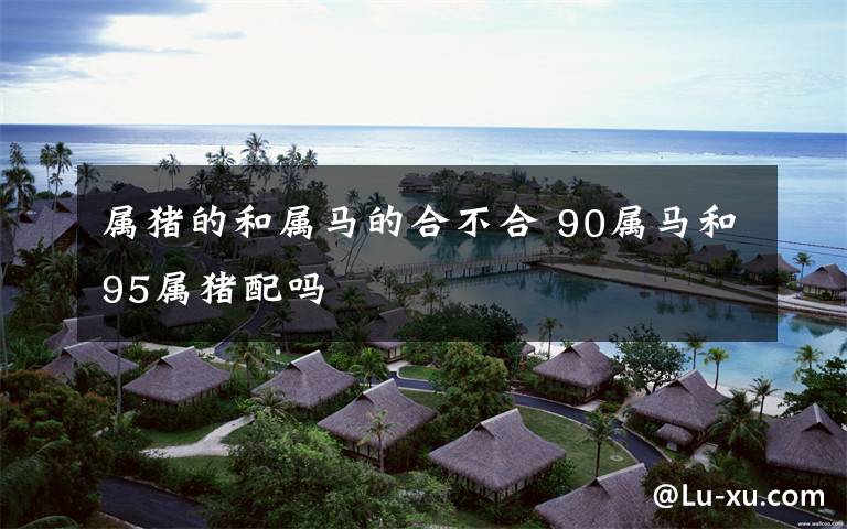 属猪的和属马的合不合 90属马和95属猪配吗